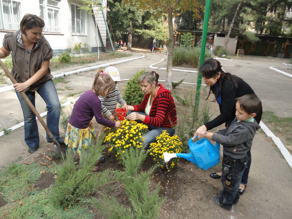 сад коисикава коракуэн чайный домик тясицу. сады заработают. семена для сада и огорода. колтуновские сады алексеевка сайт. ботанический сад руана франция.